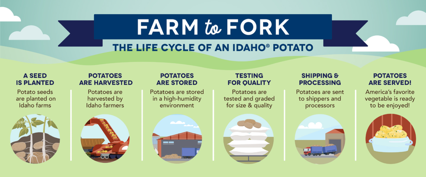 Farm to Fork Infographic. The life cycle of an Idaho&reg; Potato