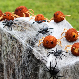 Stuffed Idaho® Potato Spiders 