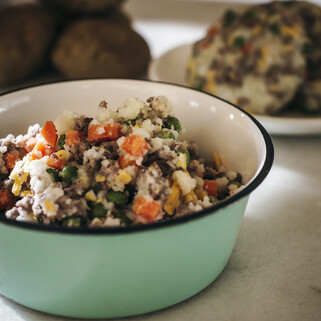 Homemade Potato Dog Food - Cottage Pie