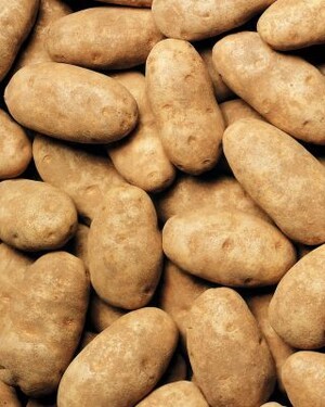 Idaho Potato Commission Generated  More Than 4 Billion Media Impressions in  Fiscal Year 2010-2011